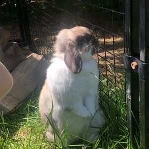 Meet your Posher, Olivia